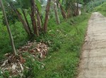IMG-20230620-WA0004