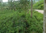 IMG-20230620-WA0006