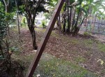 IMG-20250702-WA0014