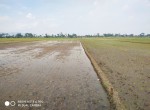 IMG_20210124_074309